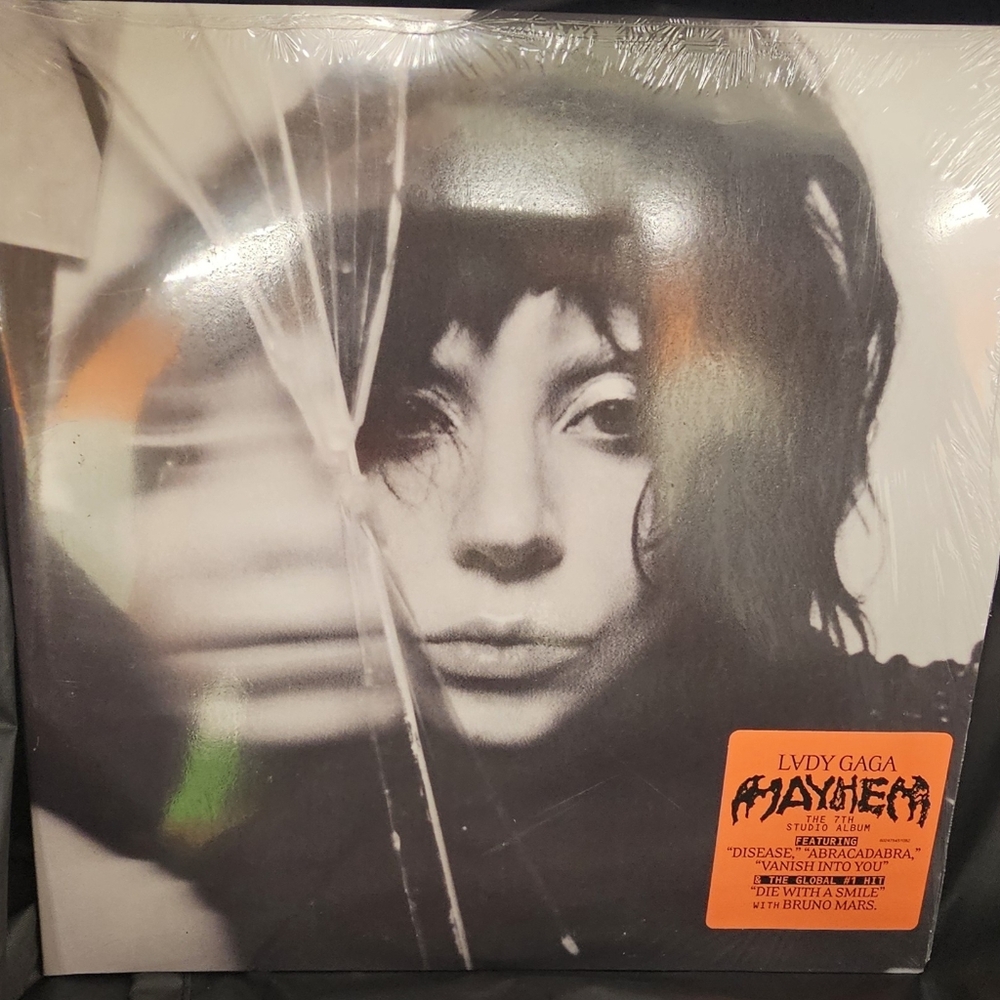 Lady Gaga Album Vinyl